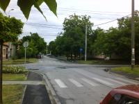 Imagine atasata: pista crisan 12.JPG